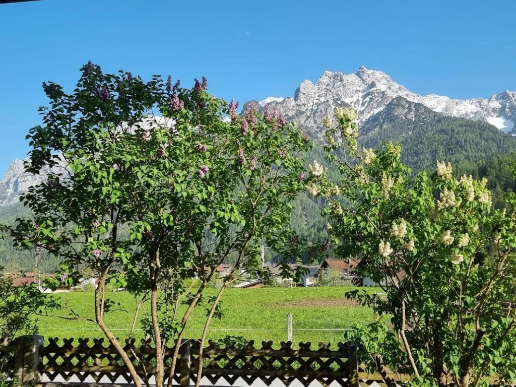 80 M2, Fuer Bis 6 Personen Mit Tollem Skigebiet, Zentral Und Doch Ruhig Waidring Bagian luar foto